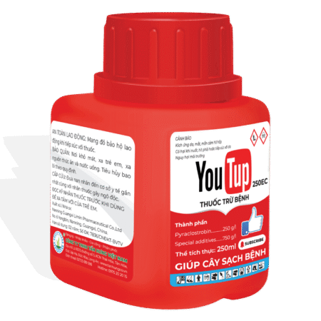 Youtup 250EC