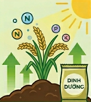 Dinh Dưỡng Cây